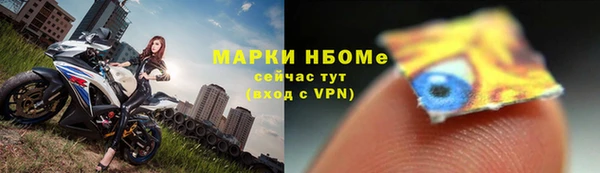 PSILOCYBIN Лагань